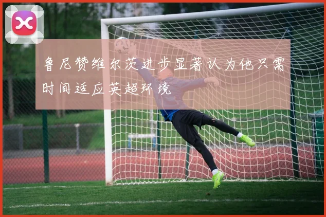 鲁尼赞维尔茨进步显著认为他只需时间适应英超环境