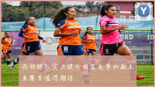 西部球队实力提升明显竞争加剧未来赛季值得期待